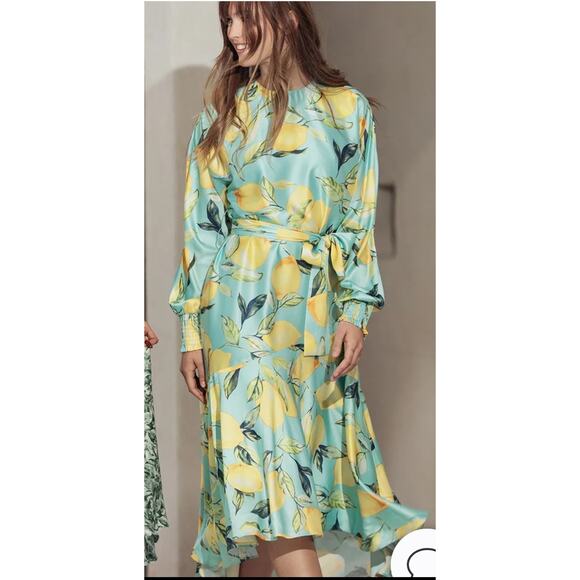 Aleeza Paris Onyx Printed Dress NWT Size XL - Picture 1 of 3